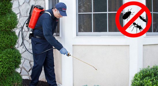 Yenifoça Hamam Böceği İlaçlama böcek ilaçlama ve haşere kontrolü — ilaclama-tr.com